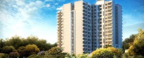 3 BHK Flat for Sale in Sarjapur Road, Bangalore