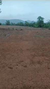  Agricultural Land for Sale in Mangaon, Raigad