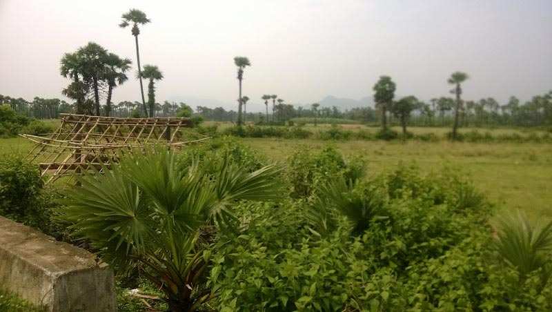 Agricultural Land 672 Sq. Yards for Sale in