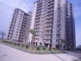 3 BHK Flat for Sale in Sector 78 Faridabad