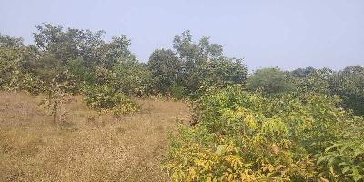  Agricultural Land for Sale in Guhagar, Ratnagiri