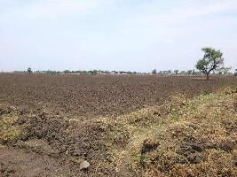  Agricultural Land for Sale in Deccan Gymkhana, Pune