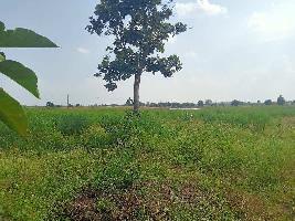  Agricultural Land for Sale in New Adarsh Colony, Katol, Nagpur