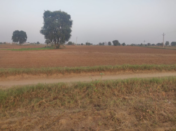  Agricultural Land for Sale in Khairthal, Alwar