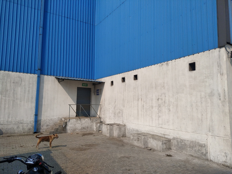Bilaspur, Gurgaon photo 4