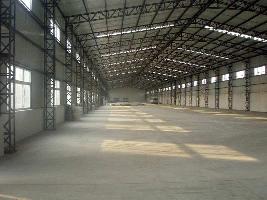  Warehouse for Rent in Tikri Kalan, Mundka, Delhi