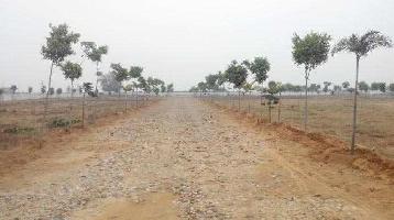  Residential Plot for Sale in Golf Course, Greater Noida