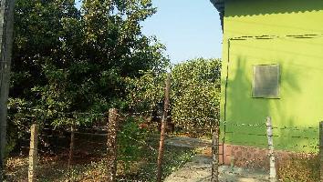 2 BHK Farm House for Sale in Alibag, Raigad