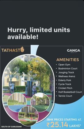  Commercial Shop 350 Sq.ft. for Sale in Sohna, Gurgaon