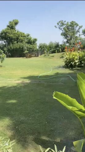 1 RK Farm House 9600 Sq. Yards for Sale in Sohna, Gurgaon
