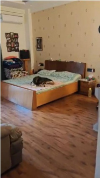 5 BHK Builder Floor for Sale in Sector 49 Gurgaon