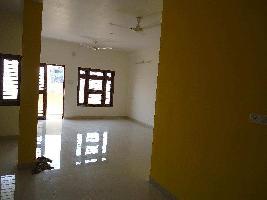 3 BHK Flat for Rent in Sector 45 Noida