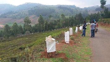  Residential Plot for Sale in Kappachi, Ooty