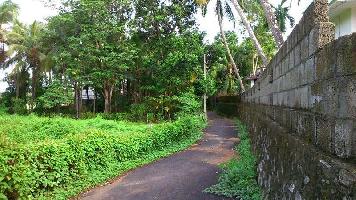  Residential Plot for Sale in Koorkenchery, Thrissur