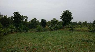  Agricultural Land for Sale in Karkeli, Umaria