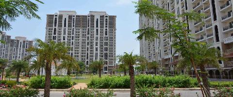 3 BHK Flat for Sale in Sector 90 Gurgaon