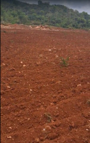  5 Acre Agricultural/Farm Land for Sale in Attur, Salem