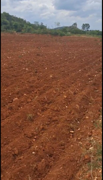  5 Acre Agricultural/Farm Land for Sale in Attur, Salem