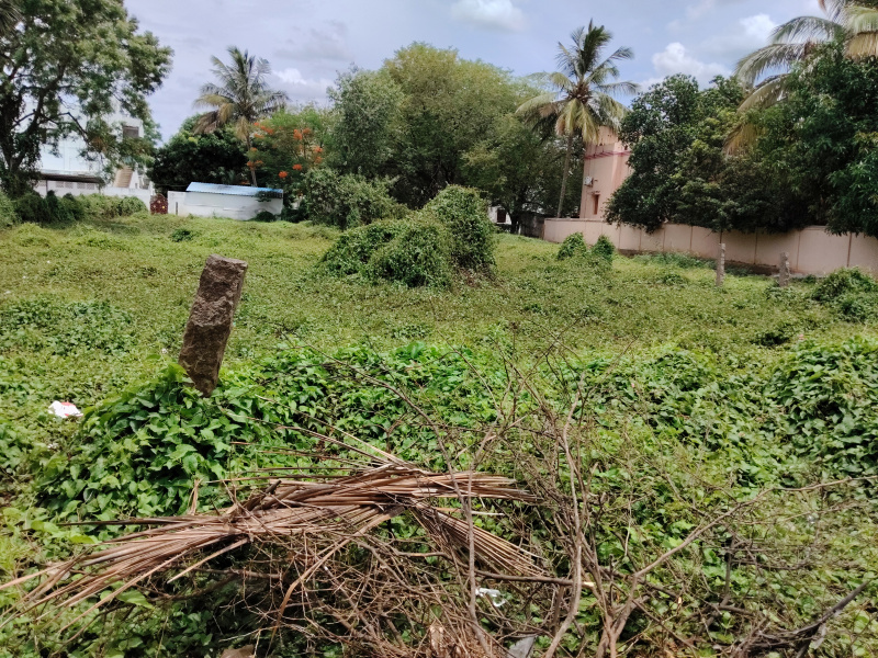  Commercial Land 10000 Sq.ft. for Rent in Ramnagar, Devakottai, Sivaganga