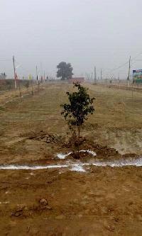  Residential Plot for Sale in Asaoti, Faridabad