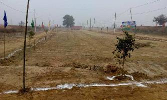  Residential Plot for Sale in Asaoti, Faridabad