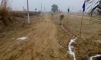  Residential Plot for Sale in Ballabhgarh, Faridabad