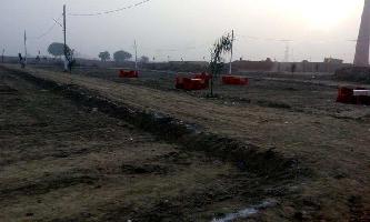  Residential Plot for Sale in Asaoti, Faridabad