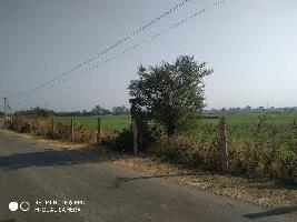  Agricultural Land for Sale in Naktara, Raisen