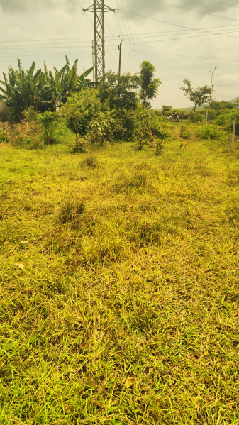Piranwadi, Belagavi photo 4