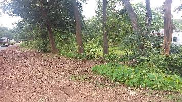  Commercial Land for Sale in Yellapur, Uttara Kannada