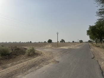  Agricultural Land for Sale in Padampur, Ganganagar