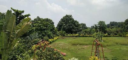  Agricultural Land for Sale in Anklav, Anand
