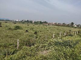  Agricultural Land for Sale in Alhadpura, Vadodara