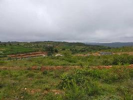  Agricultural Land for Sale in Hosur Road, Bangalore