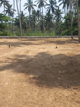  Residential Plot for Sale in Colachel, Kanyakumari