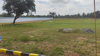  Residential Plot for Sale in Aruppukkottai, Virudhunagar