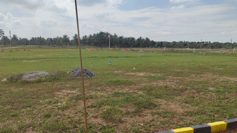  Residential Plot 2400 Sq.ft. for Sale in Aruppukkottai, Virudhunagar