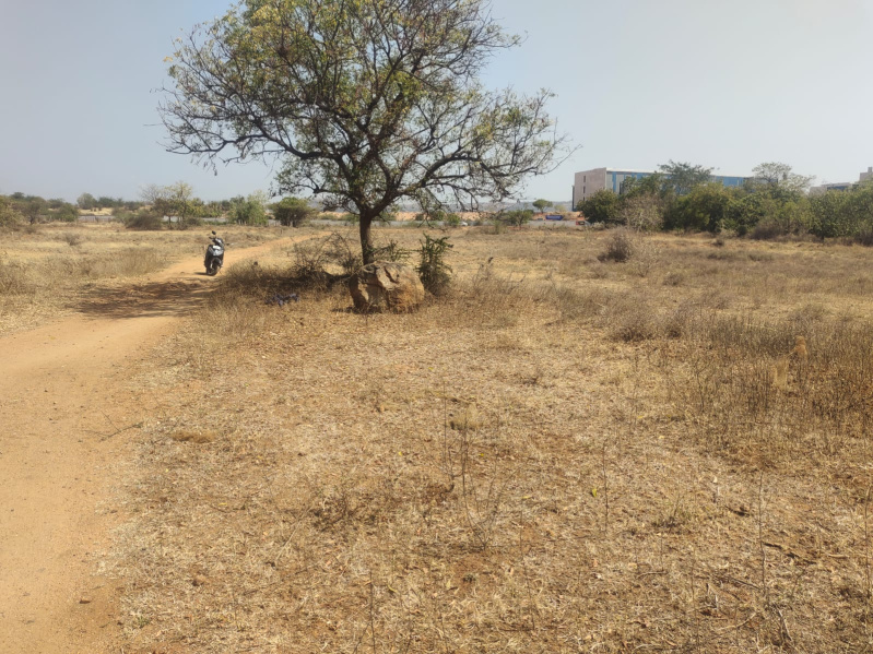  1 Ares Residential Plot for Sale in Austinpatti, Madurai