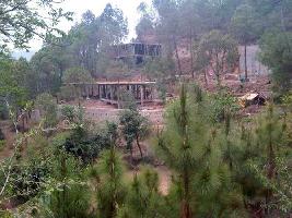 3 BHK House for Sale in Kasauli, Solan
