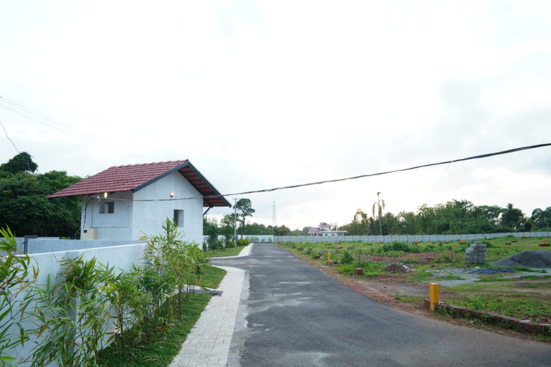  Residential Plot 2616 Sq.ft. for Sale in Taliparamba, Kannur