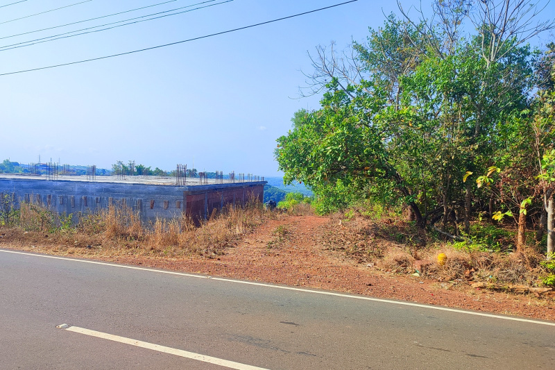  Residential Plot 125 Sq.ft. for Sale in Taliparamba, Kannur
