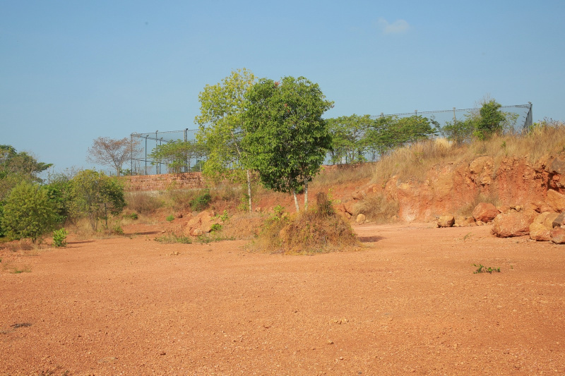  Residential Plot 125 Sq.ft. for Sale in Taliparamba, Kannur