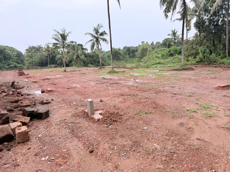  4000 Sq.ft. Residential Plot for Sale in Taliparamba, Kannur