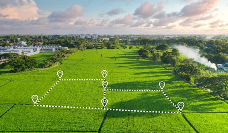  Residential Plot 320 Sq. Meter for Sale in Sector 43 Noida