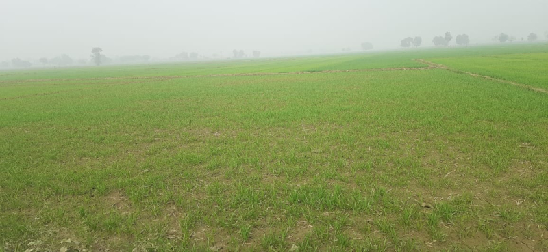 Agricultural Land 2 Bigha for Sale in Mussoorie Gulawathi Rd, Ghaziabad
