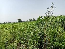  Industrial Land for Sale in Dhaulana, Hapur
