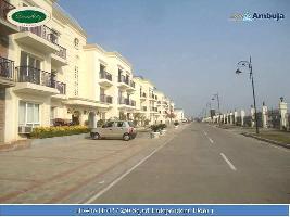  Residential Plot for Sale in Dream City, Amritsar