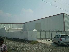  Warehouse for Rent in NH-1, Amritsar, 