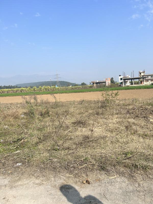  Residential Plot 4 Biswa for Sale in Paonta Sahib, Sirmour