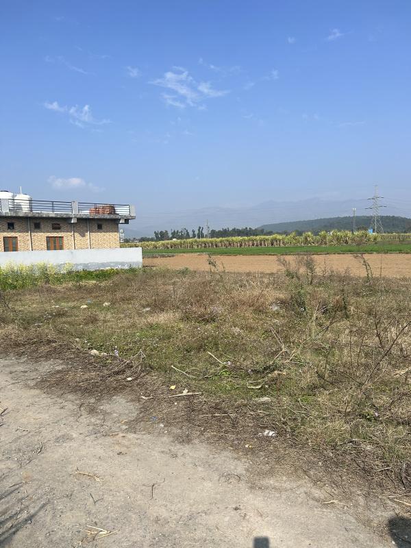  Residential Plot 4 Biswa for Sale in Paonta Sahib, Sirmour